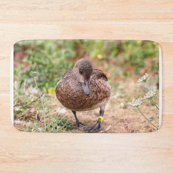 Item preview, Female eurasion wigeon designed and sold by GreyFeatherPhot.