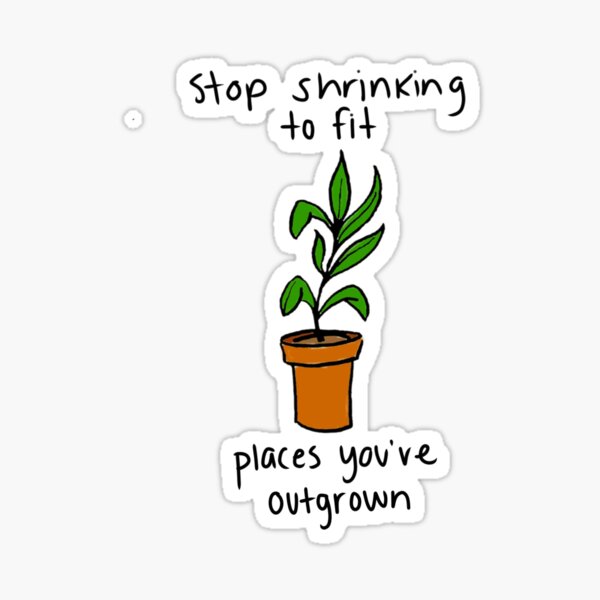 stop t shirts shrinking