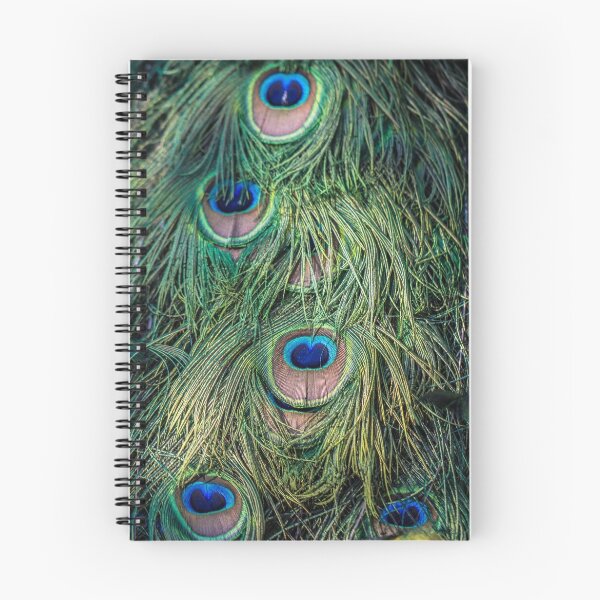 Artikelvorschau, Peacock Feathers entworfen und verkauft von Pixie Copley LRPS.