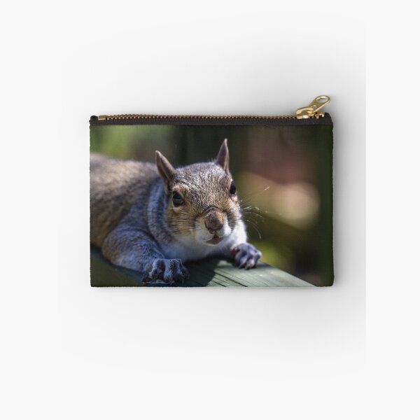 Item preview, Baby squirrel designed and sold by Pixie Copley LRPS.