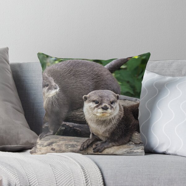 Item preview, two cute otters designed and sold by Pixie Copley LRPS.
