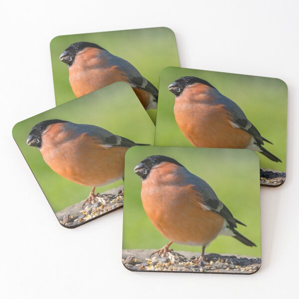 Item preview, Bullfinch designed and sold by iCimages.net.