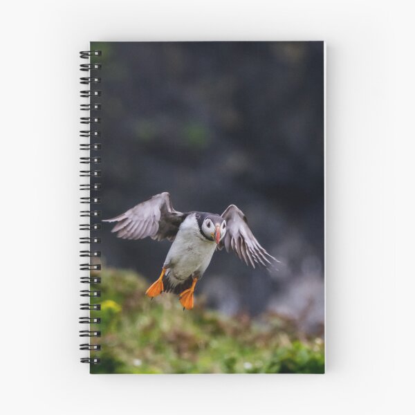 Item preview, Puffin coming in to land designed and sold by iCimages.net.