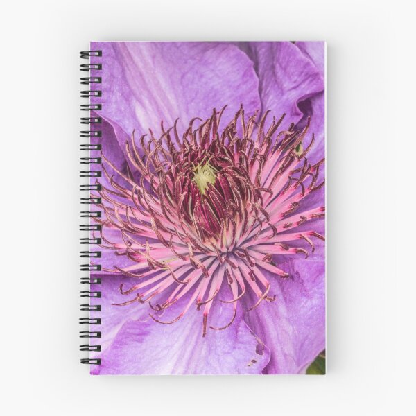 Item preview, Purple Clematis Flower  designed and sold by Pixie Copley LRPS.