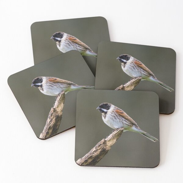 Item preview, A Reed Bunting designed and sold by iCimages.net.