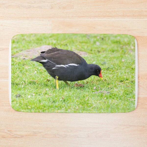 Item preview, Moorhen designed and sold by iCimages.net.