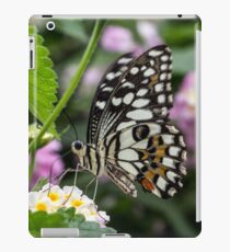 Macro Butterfly on Flowers iPad Case/Skin
