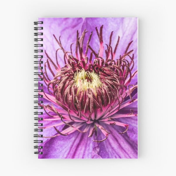Item preview, Macro Clematis Flower designed and sold by Pixie Copley LRPS.