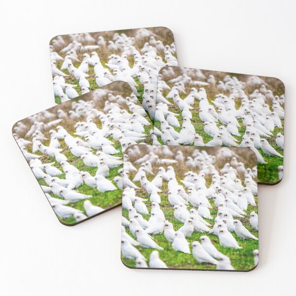 Item preview, Cockatoos designed and sold by Kana Photography.