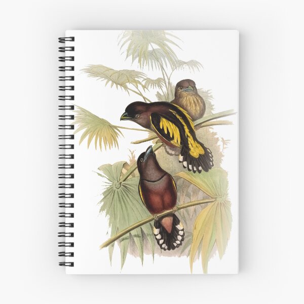 Item preview, banded broadbill designed and sold by marmur.