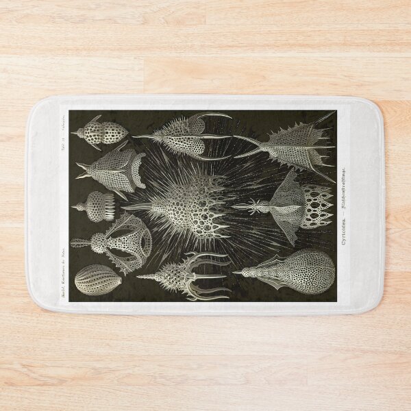 Item preview, Plate 31. Cyrtoidea, an extinct superfamily of amoeboid protozoans. designed and sold by Squirrox.