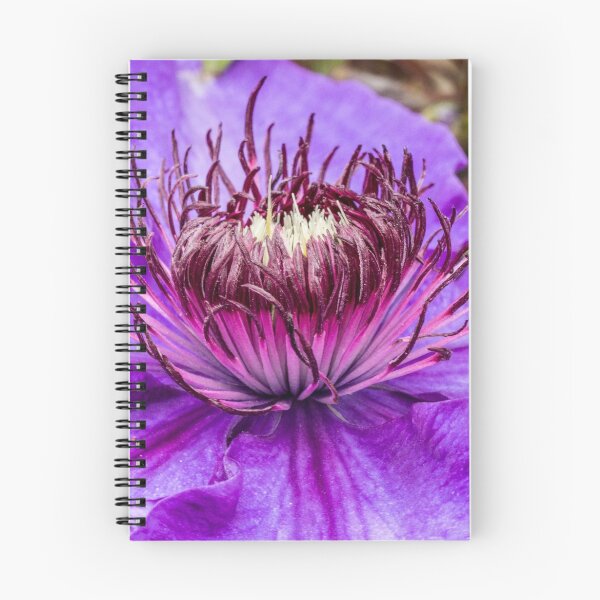 Item preview, purple clematis flower designed and sold by Pixie Copley LRPS.
