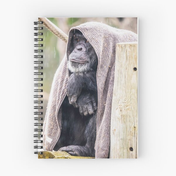 Item preview, Gorilla in the midst designed and sold by Kana Photography.
