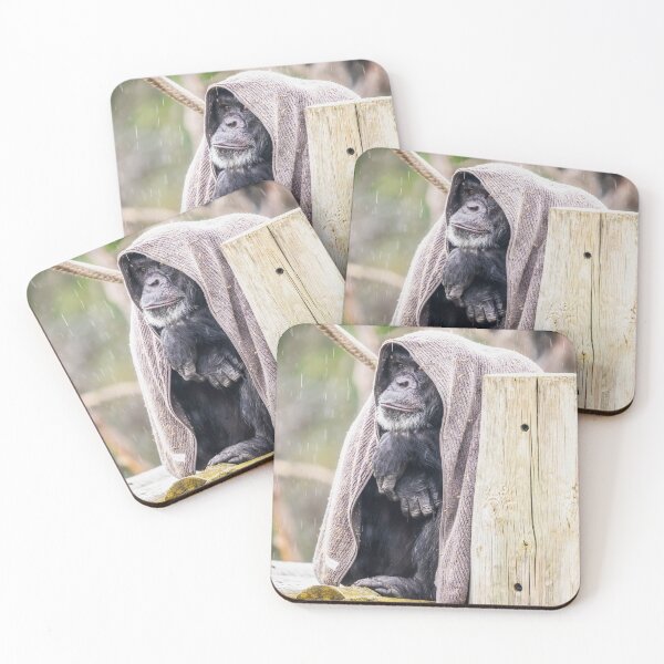 Item preview, Gorilla in the midst designed and sold by Kana Photography.