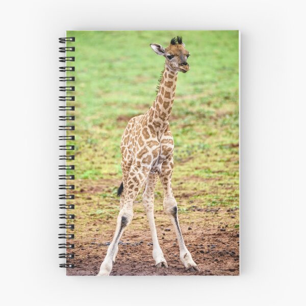 Item preview, Baby giraffe designed and sold by Kana Photography.