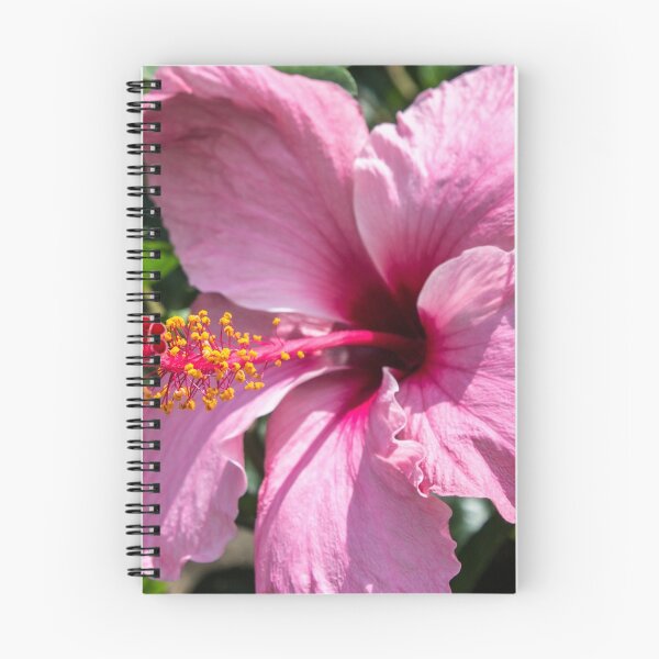 Item preview, Pink Hibiscus Flower designed and sold by Pixie Copley LRPS.