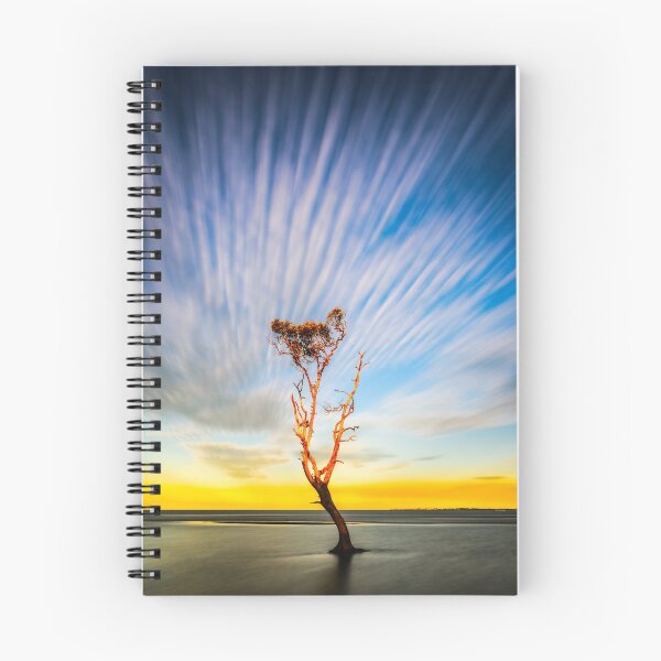 Item preview, Coloured mangrove designed and sold by Kana Photography.