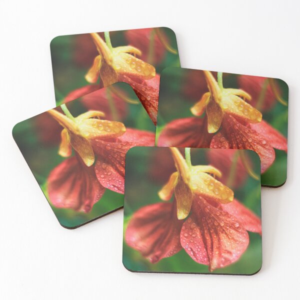 Item preview, Nasturtium designed and sold by CameliaC.