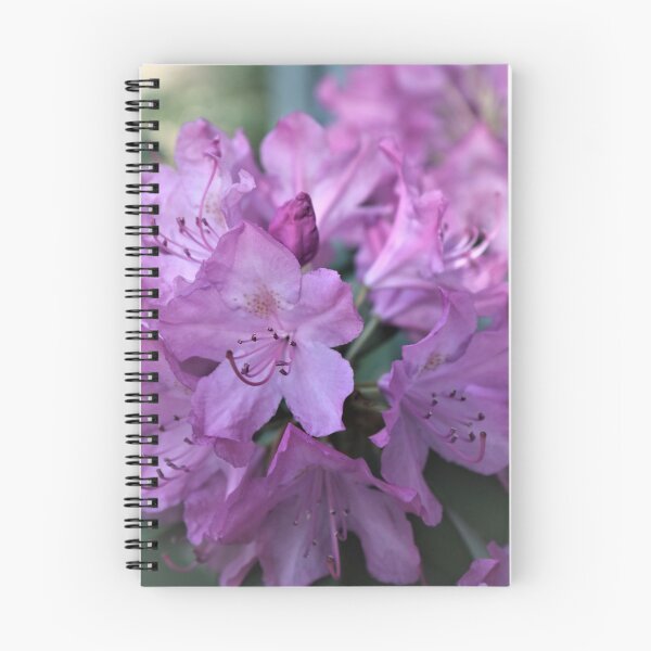 Item preview, Spring Beauty designed and sold by RVogler.