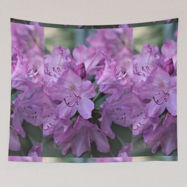 Item preview, Spring Beauty designed and sold by RVogler.