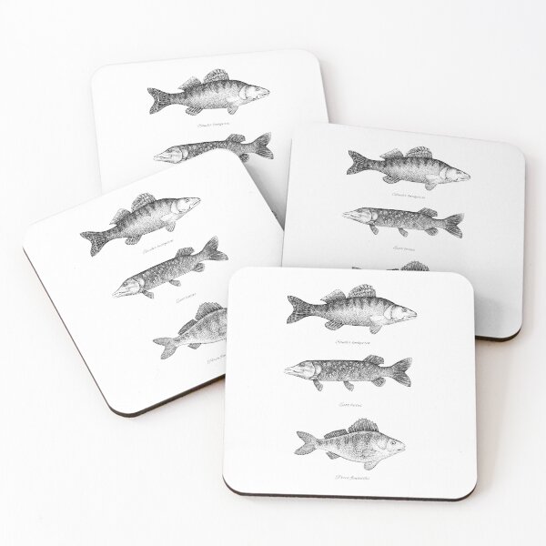 Item preview, Zander, Pike and Perch designed and sold by Evgenia's Fish Art.