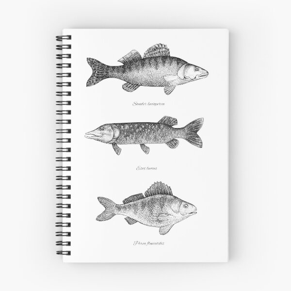 Item preview, Zander, Pike and Perch designed and sold by Evgenia's Fish Art.