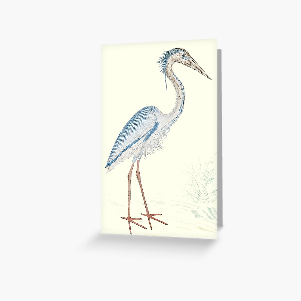 Item preview, Greeting Card designed and sold by anni103.