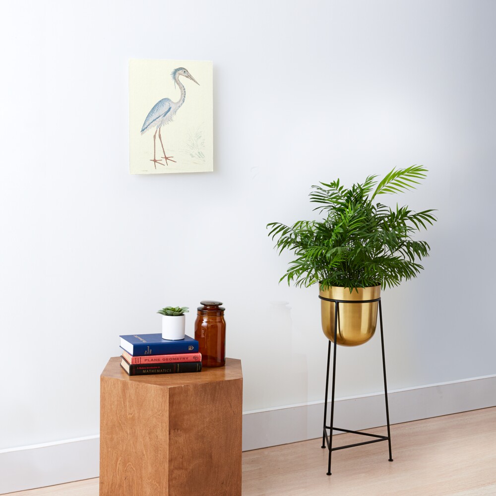 Heron Mounted Print