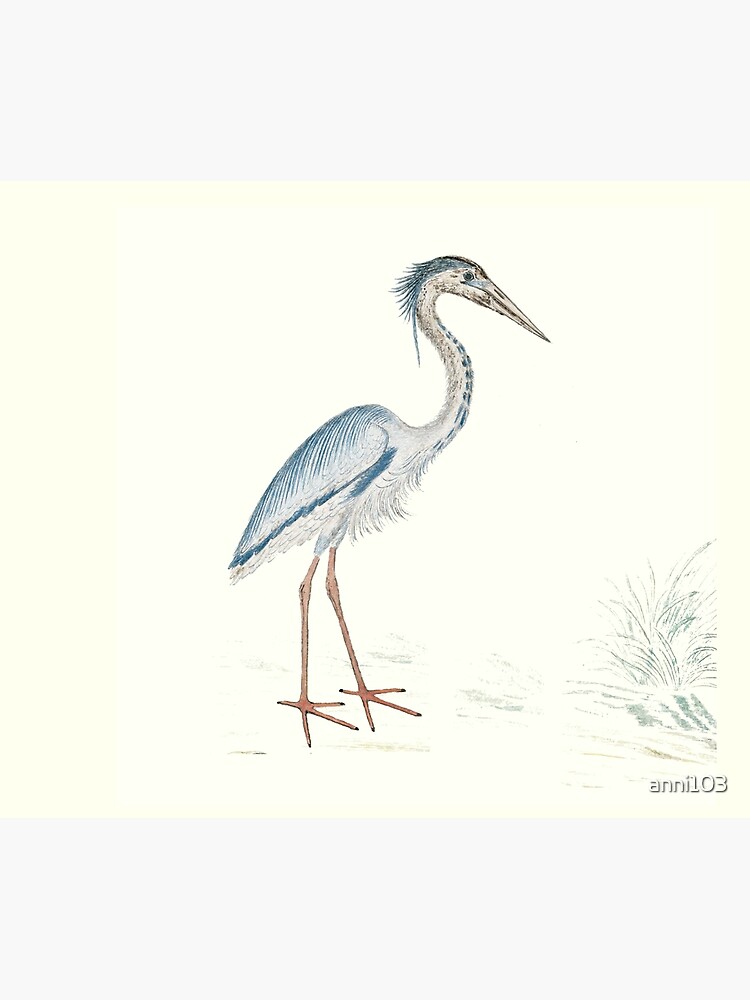 Heron by anni103