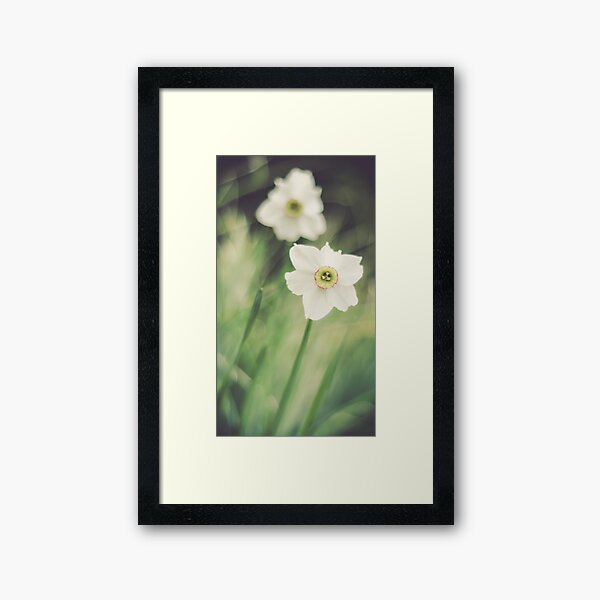 Verträumte Blumen Gerahmter Kunstdruck