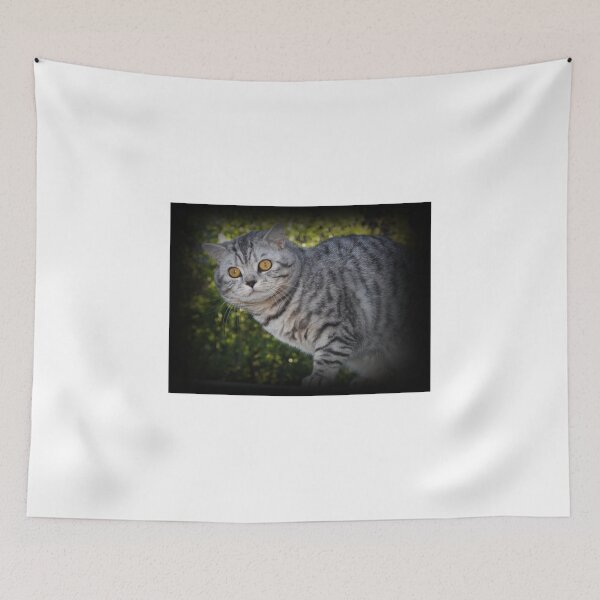 Item preview, British Shorthair cat - Buffalo silver spotted maile-  photodesign apparel and gifts designed and sold by catdesign.
