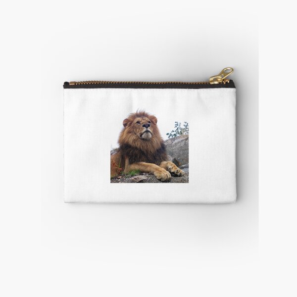 Item preview, Young Lion male - photo gifts and apparel for big cat lovers - unique photo gifts from mmers catdesign designed and sold by catdesign.