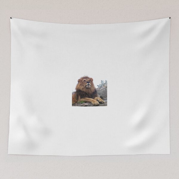 Item preview, Young Lion male - photo gifts and apparel for big cat lovers - unique photo gifts from mmers catdesign designed and sold by catdesign.