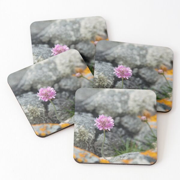 Item preview, Sea Thrift - Armeria maritima designed and sold by IslayFineArt.