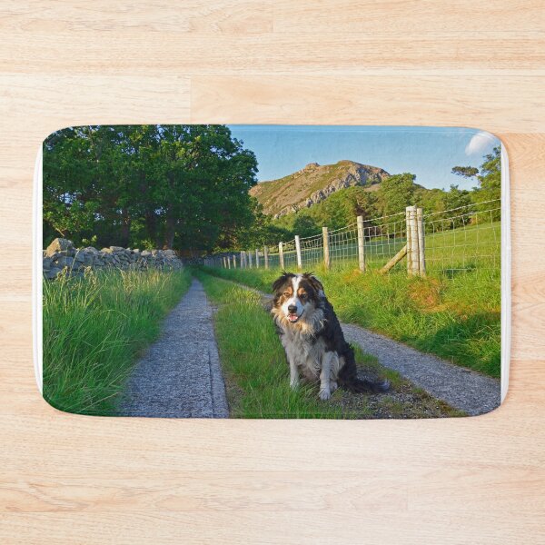 Item preview, Stay on the path. designed and sold by Michael Haslam.