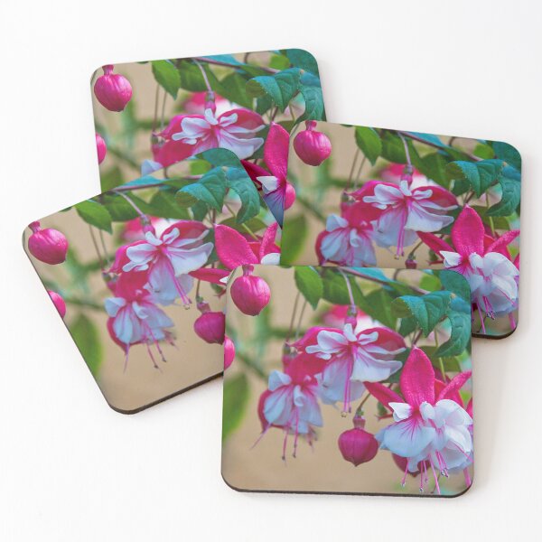 Item preview, Ecuador. Termas de Papallacta. Flowers. designed and sold by vadim19.