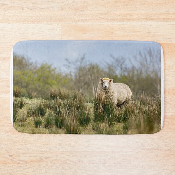 Item preview, The lone sheep designed and sold by iCimages.net.