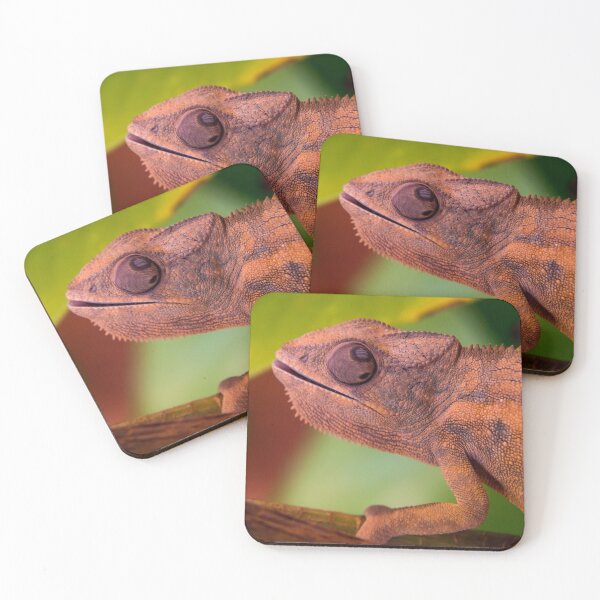 Item preview, Chameleon designed and sold by iCimages.net.