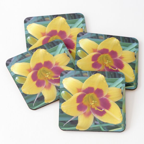 Item preview, Flower Wide Open designed and sold by bertsworks300.