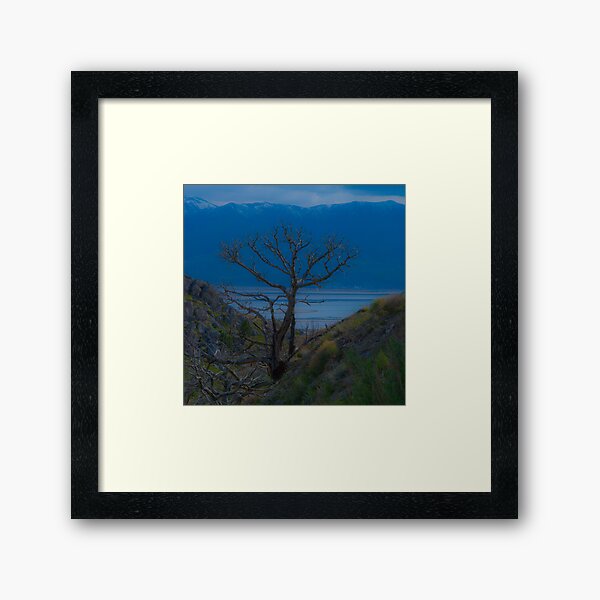Lonely on Blue Framed Art Print