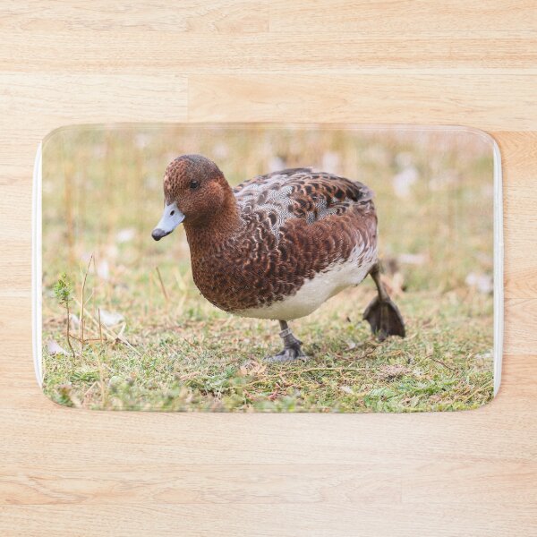 Artikelvorschau, Wigeon in Eclipse Gefieder entworfen und verkauft von GreyFeatherPhot.