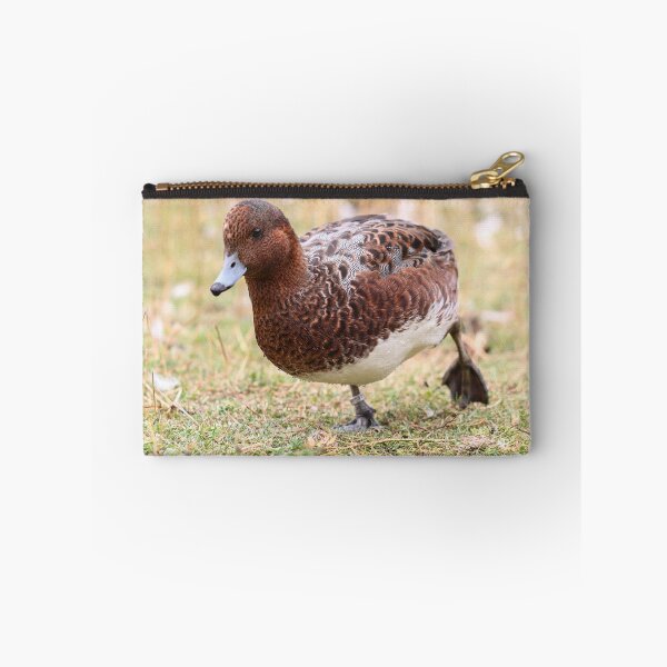 Artikelvorschau, Wigeon in Eclipse Gefieder entworfen und verkauft von GreyFeatherPhot.