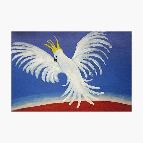 THE DELICATE BUT DEAFENING WHITE COCKATOO (AUSTRALIA) Photographic Print