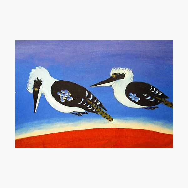 THE SHORT-SIGHTED BLUE WINGED KOOKABURRA (AUSTRALIA) Photographic Print