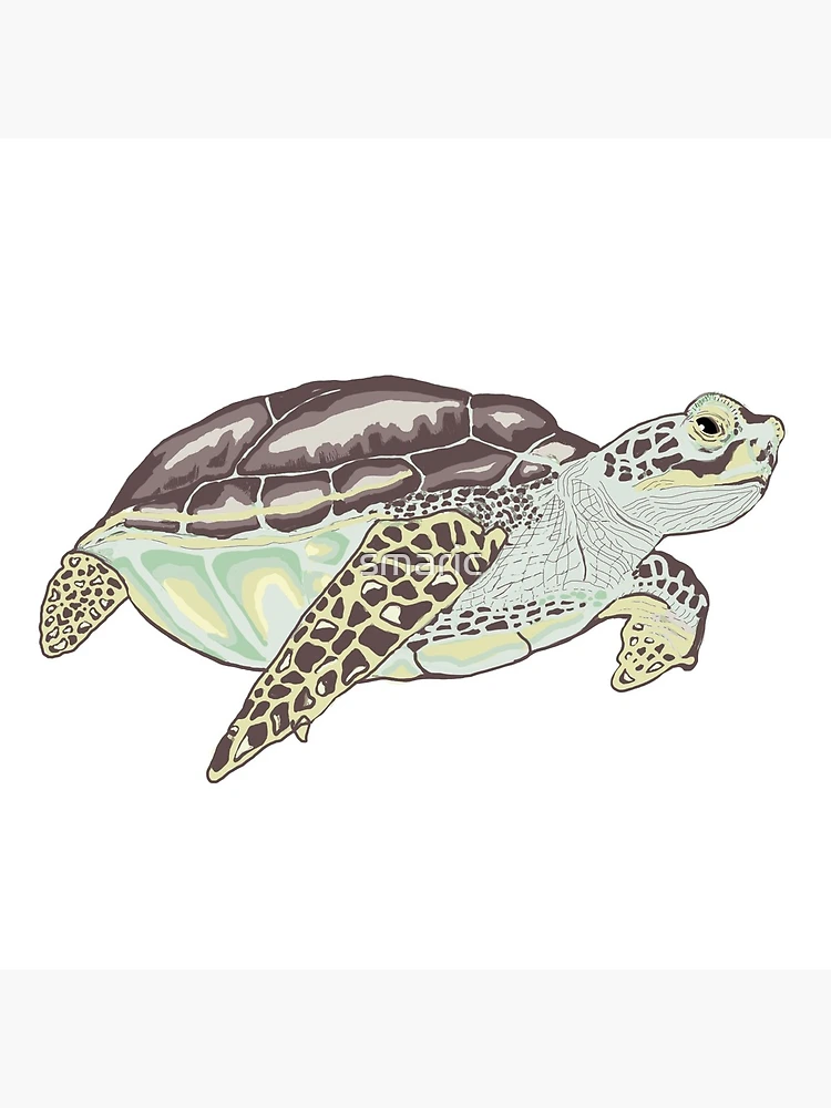 Multi-colored sea turtle Art Print for Sale by smaric