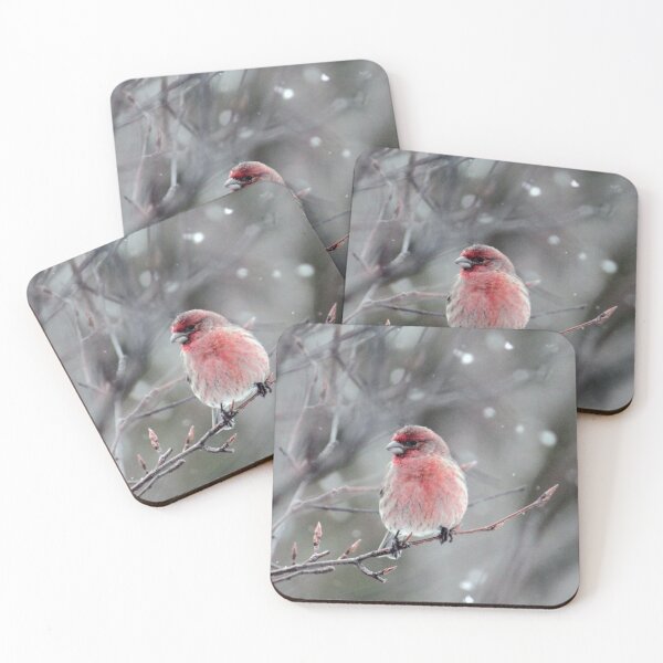 Item preview, House Finch designed and sold by Strawflower Oasis.