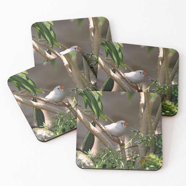 Item preview, Society Finch designed and sold by Strawflower Oasis.