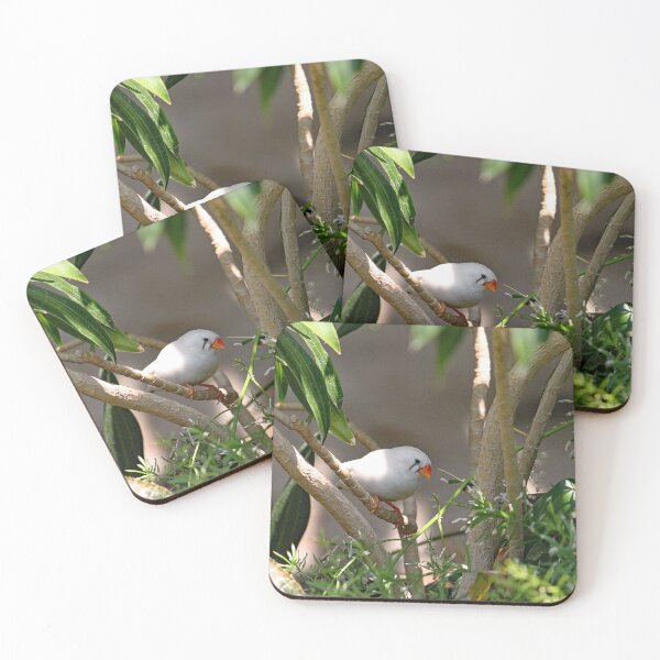 Item preview, White Society Finch designed and sold by Strawflower Oasis.