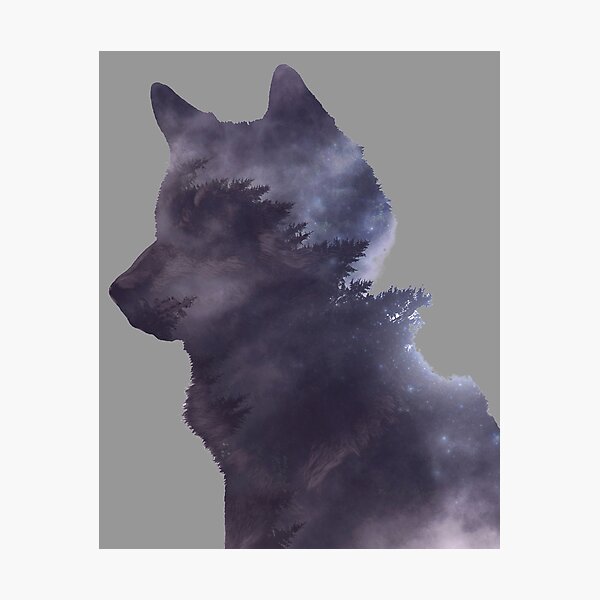 Wandbilder Wolf Tapete Redbubble