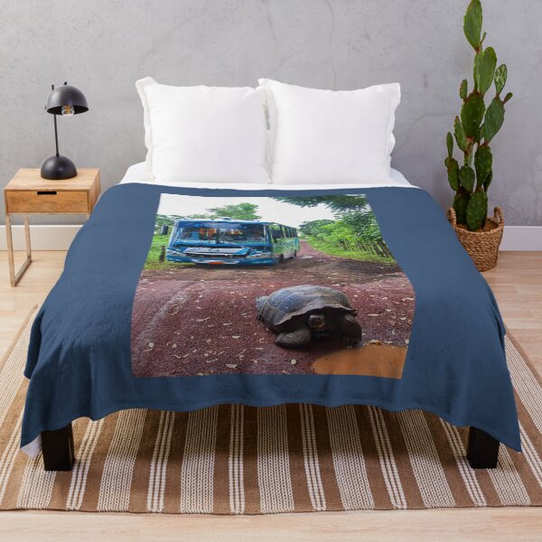 Item preview, Ecuador. Galapagos Islands. A Giant Tortoise and a Bus. designed and sold by vadim19.